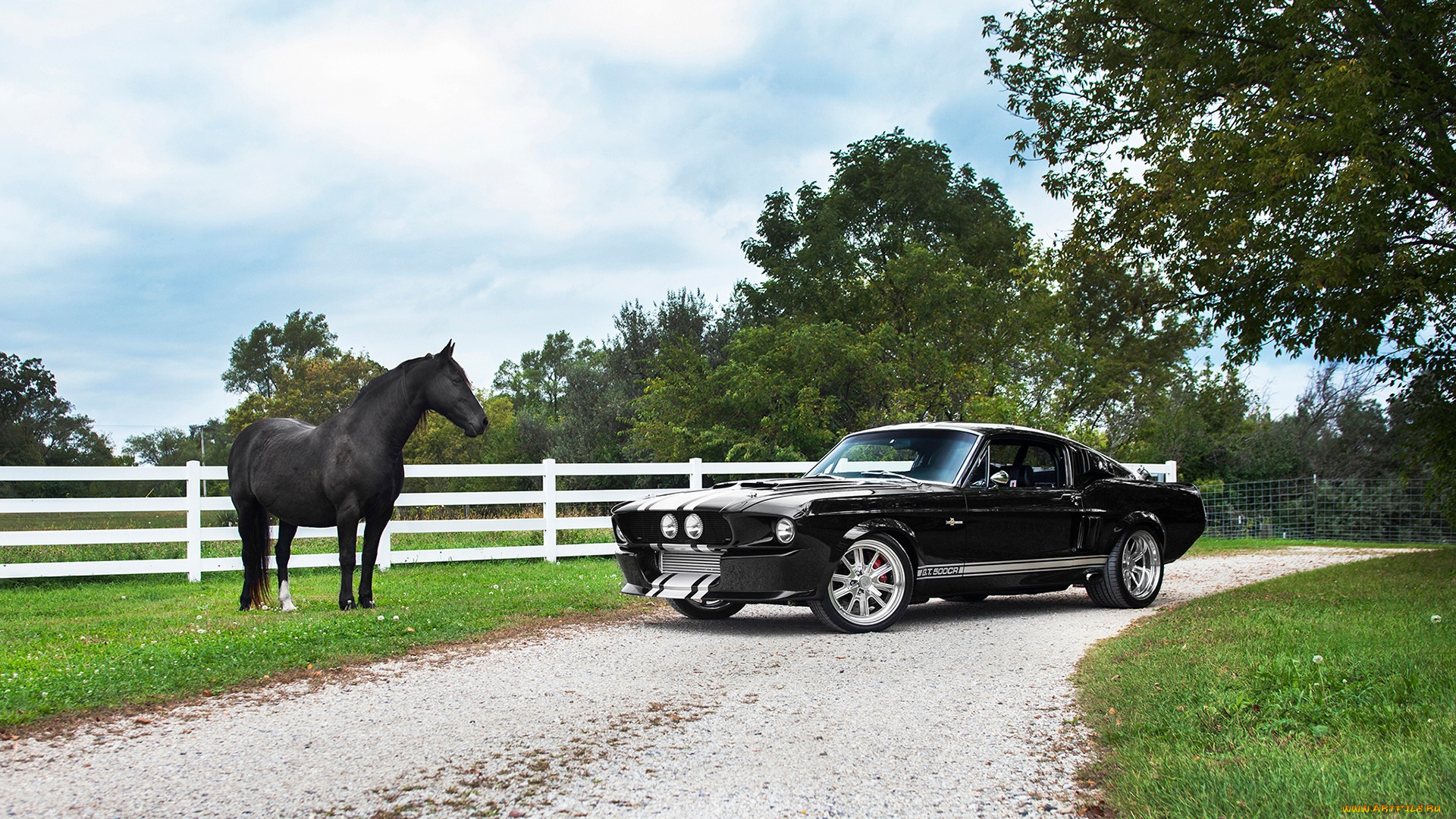 Ford mustang horse
